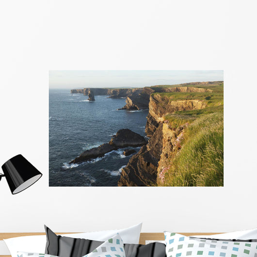 Coast south of Kilkee Wall Mural