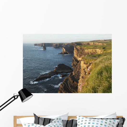 Coast south of Kilkee Wall Mural