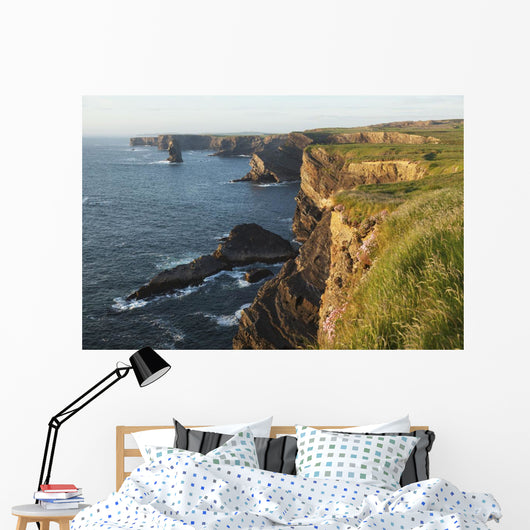 Coast south of Kilkee Wall Mural