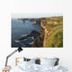 Coast south of Kilkee Wall Mural