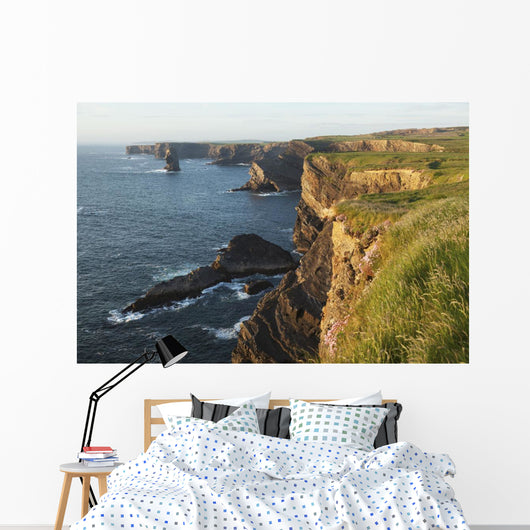 Coast south of Kilkee Wall Mural