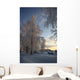 Winter Landscape Wall Mural