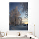 Winter Landscape Wall Mural