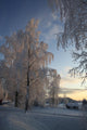 Winter Landscape Wall Mural