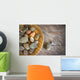 Spa rocks in wooden bowl on rustic wood Wall Mural