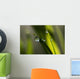 Dew hangs from the leaves Wall Mural