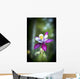 Columbine blooms in a garden Wall Mural