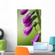 Raindrops cling to Foxglove petals Wall Mural