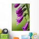 Raindrops cling to Foxglove petals Wall Mural
