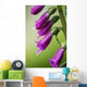 Raindrops cling to Foxglove petals Wall Mural