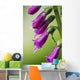 Raindrops cling to Foxglove petals Wall Mural