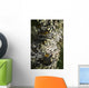 Lichen grows on trees Wall Mural