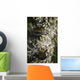 Lichen grows on trees Wall Mural