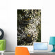 Lichen grows on trees Wall Mural
