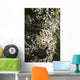 Lichen grows on trees Wall Mural