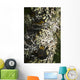 Lichen grows on trees Wall Mural