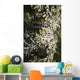 Lichen grows on trees Wall Mural