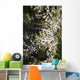 Lichen grows on trees Wall Mural