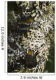 Lichen grows on trees Wall Mural