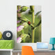 A Ladybug Beetle rests on Foxglove Wall Mural