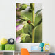 A Ladybug Beetle rests on Foxglove Wall Mural