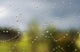 A spider's web catches rain drops Wall Mural