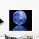 Blue Moon Wall Decal