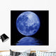 Blue Moon Wall Decal