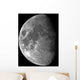 Moon Waxing Gibbous Wall Decal