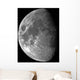 Moon Waxing Gibbous Wall Decal