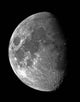 Moon Waxing Gibbous Wall Decal