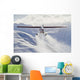 View of a Super Cub air taxi at Tanaina Glacier Wall Mural