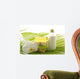 Green Bathroom Set for