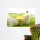 Green Bathroom Set for