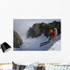 Backcountry skier on West Twin Peak near Eklutna Wall Mural