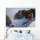 Backcountry skier on West Twin Peak near Eklutna Wall Mural