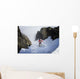 Backcountry skier on West Twin Peak near Eklutna Wall Mural