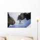 Backcountry skier on West Twin Peak near Eklutna Wall Mural