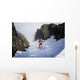 Backcountry skier on West Twin Peak near Eklutna Wall Mural