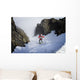 Backcountry skier on West Twin Peak near Eklutna Wall Mural