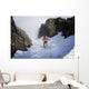Backcountry skier on West Twin Peak near Eklutna Wall Mural