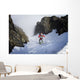 Backcountry skier on West Twin Peak near Eklutna Wall Mural