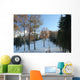Skiing Trace Wall Mural