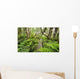 Boardwalk through Waikamoi Native Forest Preserve Wall Mural