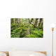 Boardwalk through Waikamoi Native Forest Preserve Wall Mural