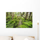 Boardwalk through Waikamoi Native Forest Preserve Wall Mural