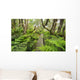 Boardwalk through Waikamoi Native Forest Preserve Wall Mural