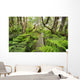 Boardwalk through Waikamoi Native Forest Preserve Wall Mural