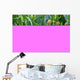 Mais Wall Mural