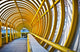 Centennial Pavilion walkway at Vancouver General Hospital Wall Mural